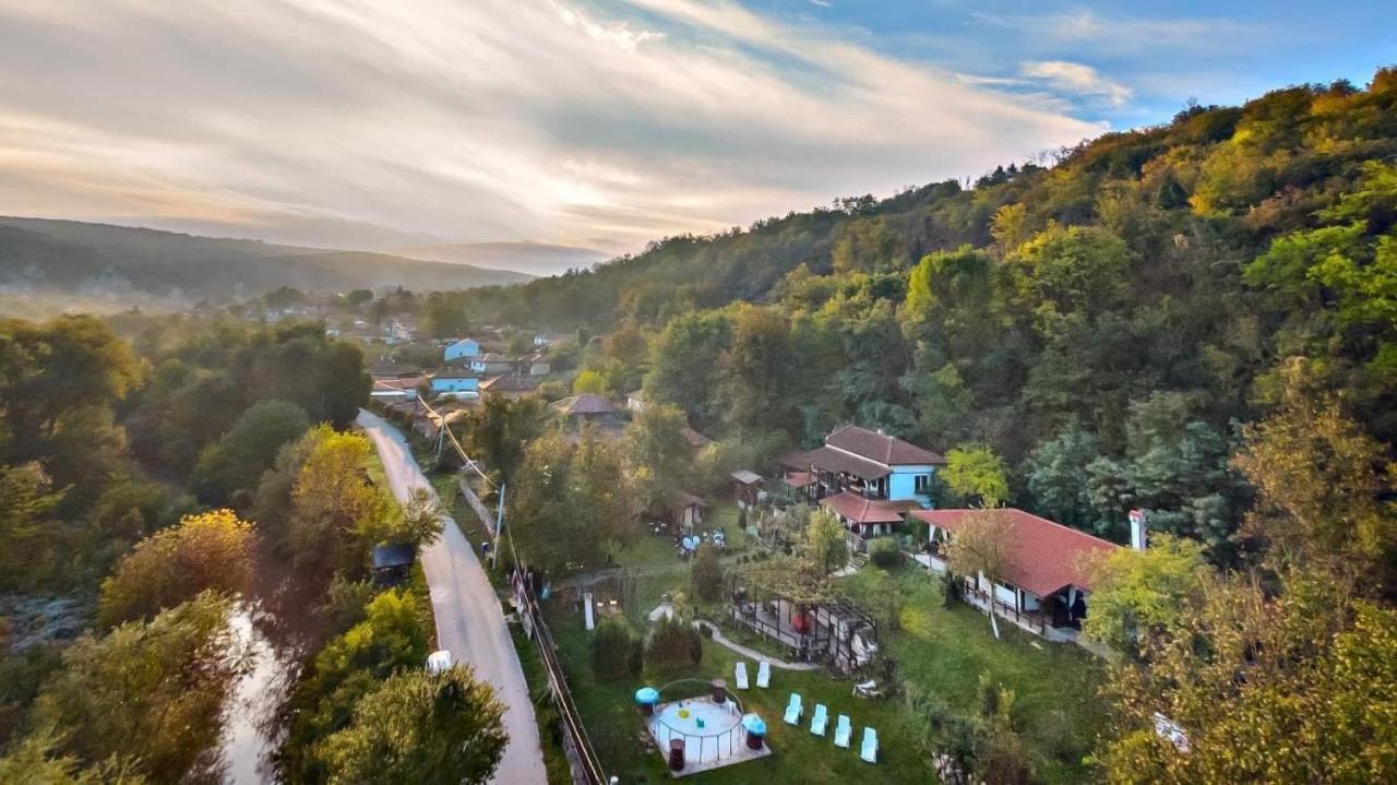 Milkovata Guest House Koshov Dış mekan fotoğraf