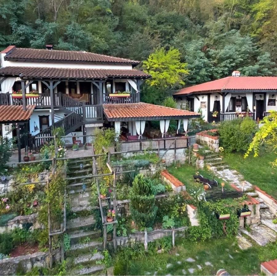 Milkovata Guest House Koshov Dış mekan fotoğraf