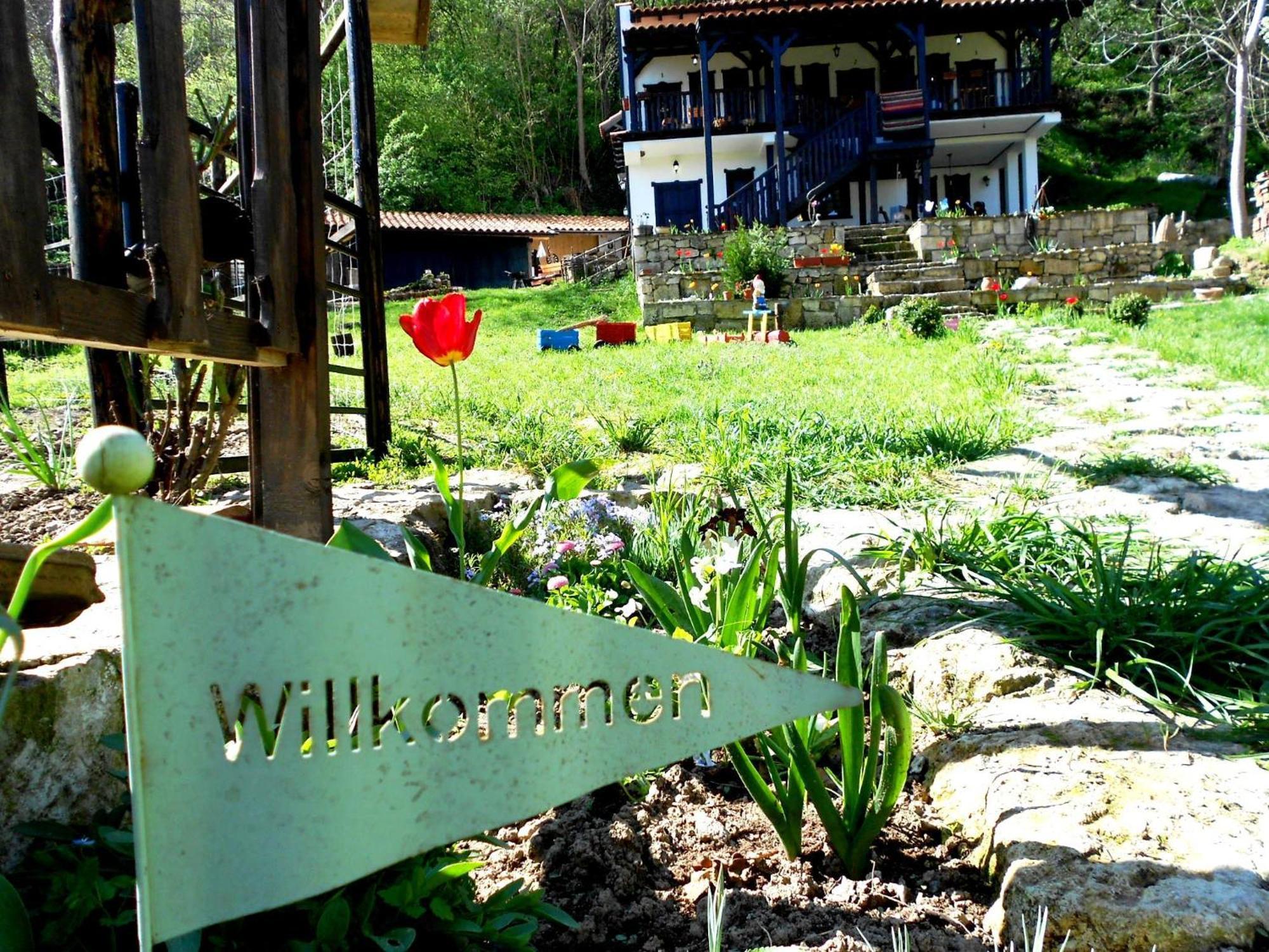 Milkovata Guest House Koshov Dış mekan fotoğraf